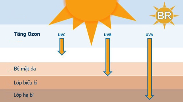 Tia UV có xuyên qua cửa kính không
